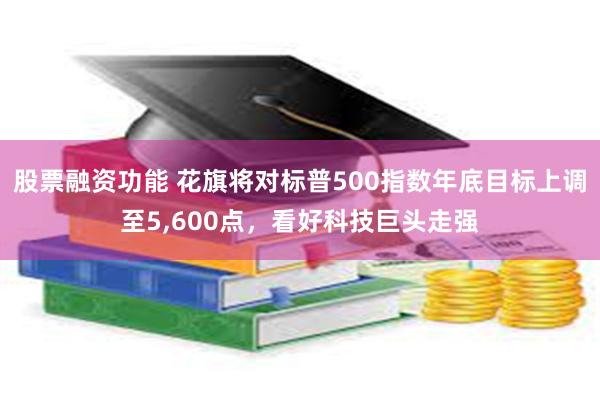 股票融资功能 花旗将对标普500指数年底目标上调至5,600点，看好科技巨头走强