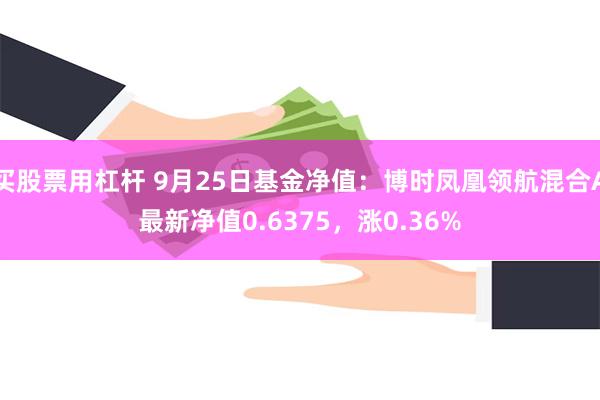 买股票用杠杆 9月25日基金净值：博时凤凰领航混合A最新净值0.6375，涨0.36%