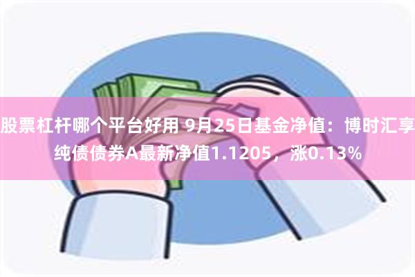 股票杠杆哪个平台好用 9月25日基金净值：博时汇享纯债债券A最新净值1.1205，涨0.13%