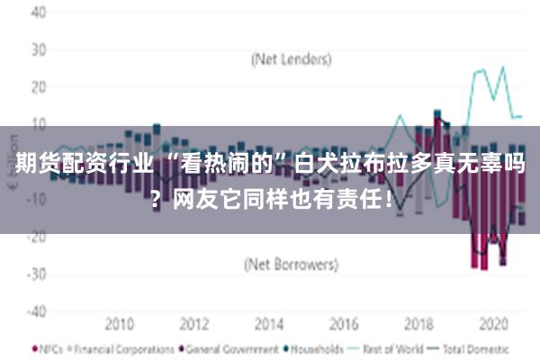 期货配资行业 “看热闹的”白犬拉布拉多真无辜吗？网友它同样也有责任！