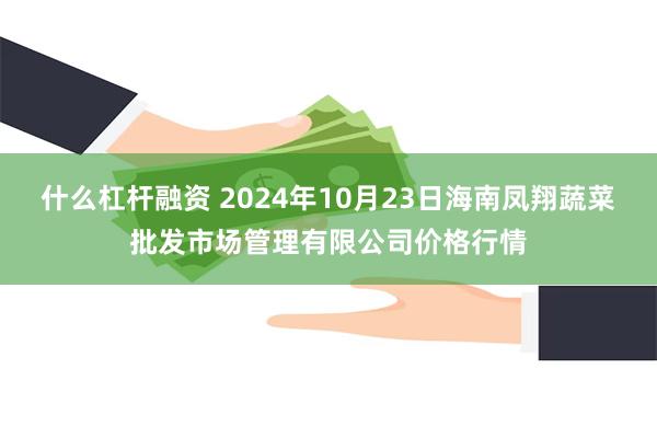 什么杠杆融资 2024年10月23日海南凤翔蔬菜批发市场管理有限公司价格行情