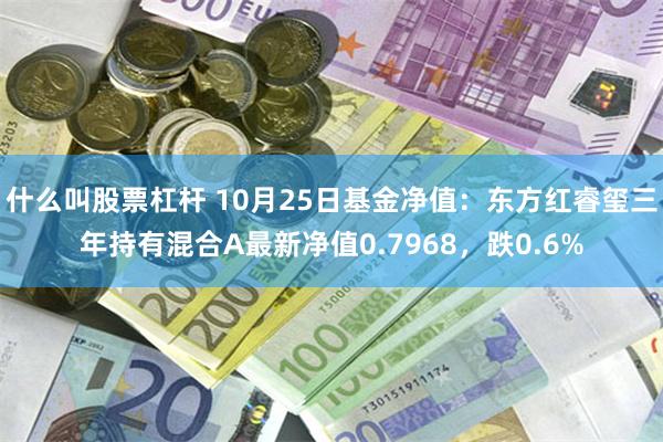 什么叫股票杠杆 10月25日基金净值：东方红睿玺三年持有混合A最新净值0.7968，跌0.6%