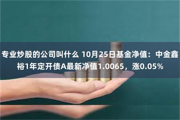 专业炒股的公司叫什么 10月25日基金净值：中金鑫裕1年定开债A最新净值1.0065，涨0.05%