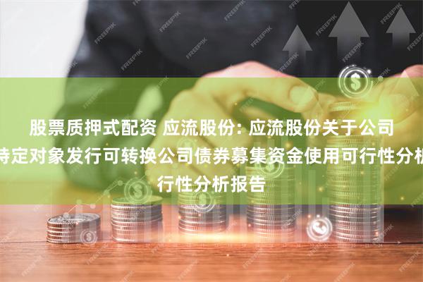 股票质押式配资 应流股份: 应流股份关于公司向不特定对象发行可转换公司债券募集资金使用可行性分析报告