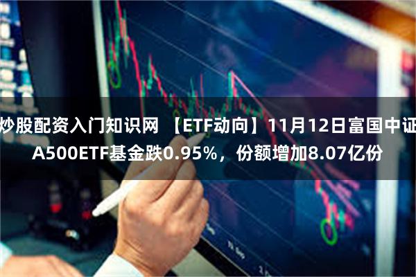 炒股配资入门知识网 【ETF动向】11月12日富国中证A500ETF基金跌0.95%，份额增加8.07亿份