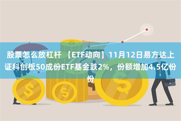 股票怎么放杠杆 【ETF动向】11月12日易方达上证科创板50成份ETF基金跌2%，份额增加4.5亿份