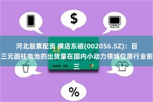 河北股票配资 横店东磁(002056.SZ)：目前三元圆柱电池的出货量在国内小动力领域位居行业前三