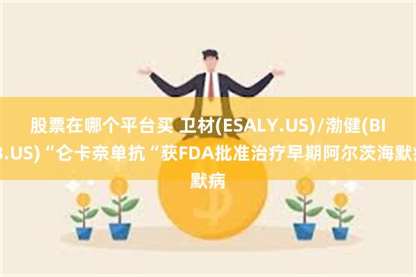 股票在哪个平台买 卫材(ESALY.US)/渤健(BIIB.US)“仑卡奈单抗“获FDA批准治疗早期阿尔茨海默病