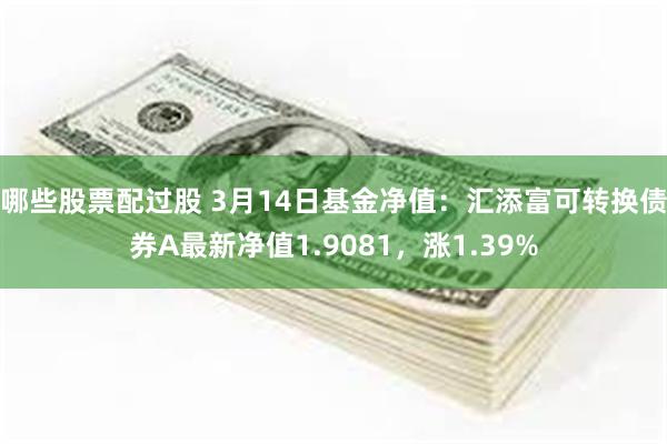 哪些股票配过股 3月14日基金净值：汇添富可转换债券A最新净值1.9081，涨1.39%