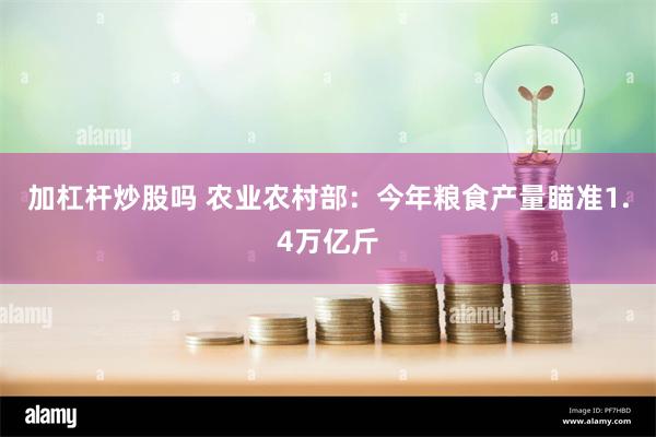 加杠杆炒股吗 农业农村部：今年粮食产量瞄准1.4万亿斤