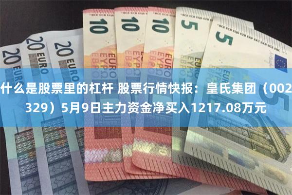 什么是股票里的杠杆 股票行情快报：皇氏集团（002329）5月9日主力资金净买入1217.08万元