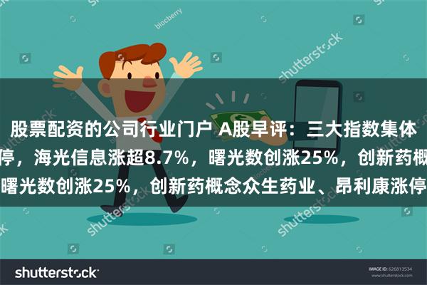 股票配资的公司行业门户 A股早评：三大指数集体高开，中科曙光一字涨停，海光信息涨超8.7%，曙光数创涨25%，创新药概念众生药业、昂利康涨停