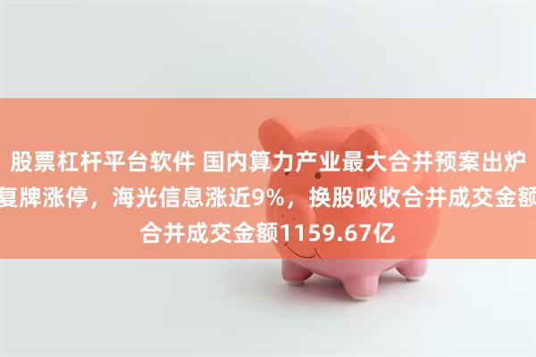 股票杠杆平台软件 国内算力产业最大合并预案出炉！中科曙光复牌涨停，海光信息涨近9%，换股吸收合并成交金额1159.67亿