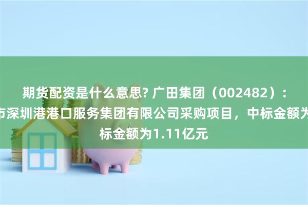 期货配资是什么意思? 广田集团（002482）：中标深圳市深圳港港口服务集团有限公司采购项目，中标金额为1.11亿元